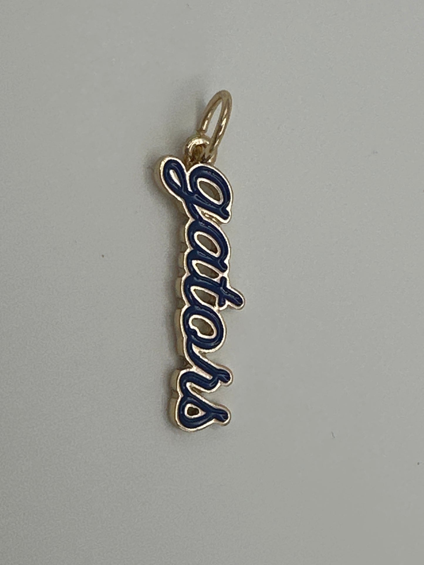 Florida Gator Charm