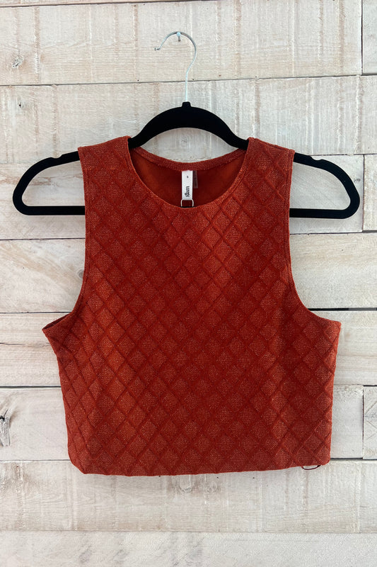 Cropped Shimmer Top