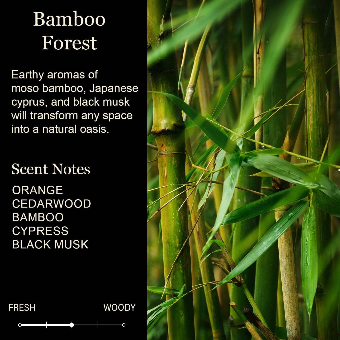 Funny Candle | My Last Nerve - Oh Look . . . It's on Fire White Candle