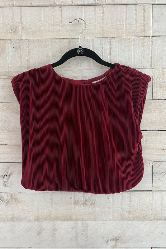 Pleated Crop Top