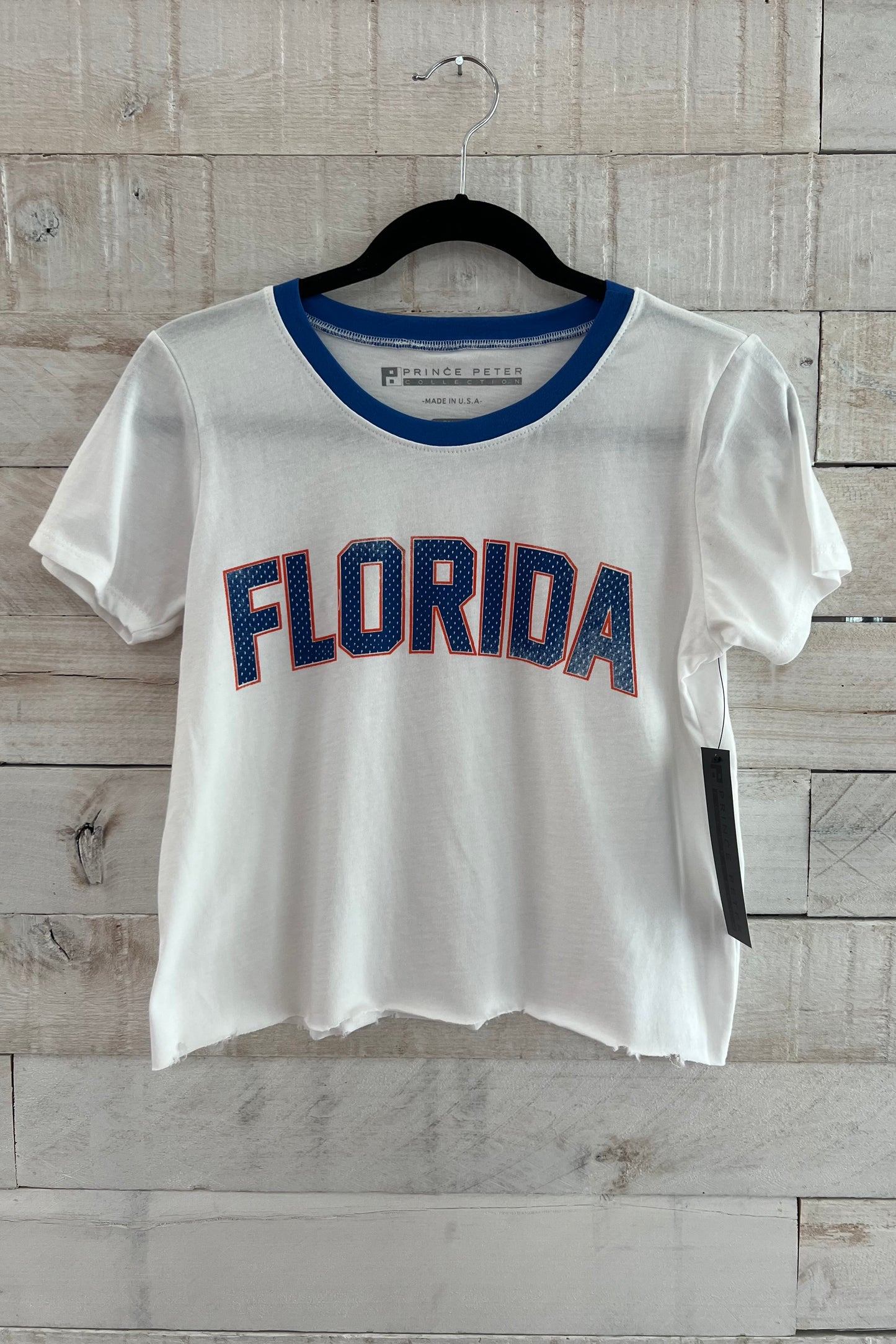 Florida Distressed Crop Top
