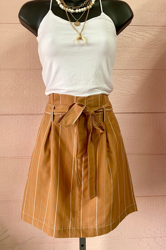Pleat Detail Mini Skirt