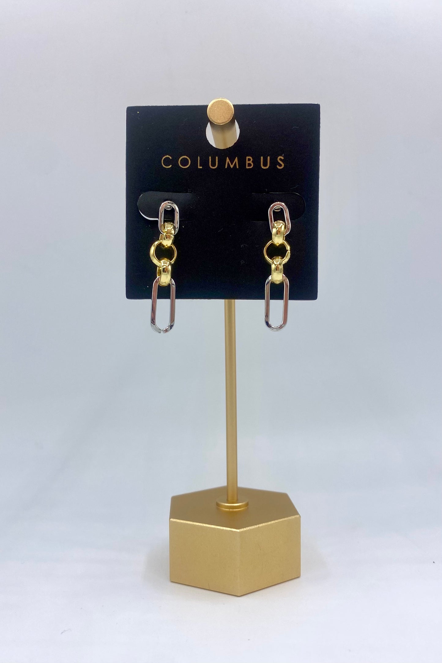 Linked Two-Toned Chain and Oval Earrings